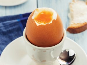 Boiled Egg