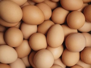 Eggs