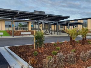 Te Rau Kawakawa Buller Health Westport supplied