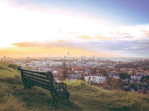 Auckland City CR AR on Unsplash