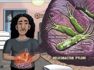 Helicobacter pylori