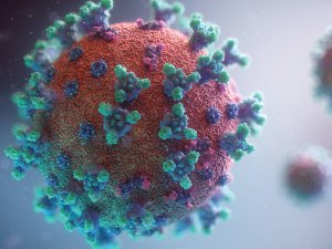 Virus CR Fusion Medical Animation on Unsplash