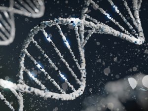 DNA_Helix