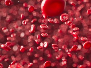 Red blood cells