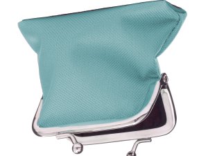 Open purse CR Natikka on iStock 