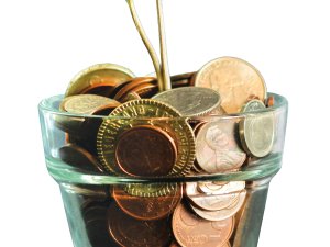 Plant_coins_Jar_CR_Micheile-henderson_on_unsplash
