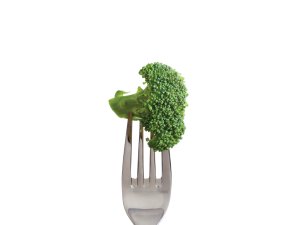 Brocolli-on-fork