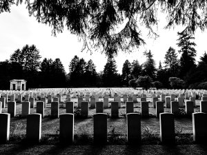 Cemetery CR Davide Ragusa on Unsplash