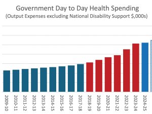 Figure 1. Government day-to-day health spending