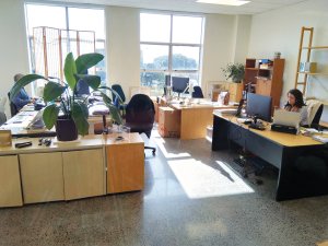 Parnell Office B