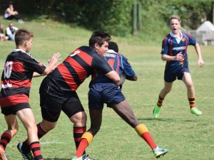 Rugby
