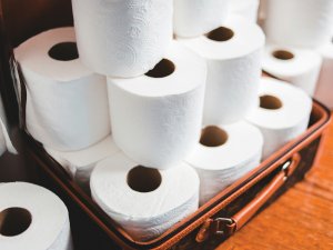 Toilet_Rolls