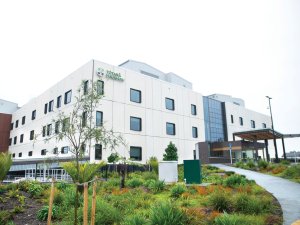 Totara Haumaru CR NZD Steve Forbes