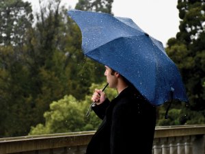 Rain_Umbrella