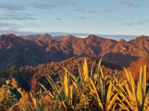 West Coast from Paparoa Track CR Fiona Cassie 