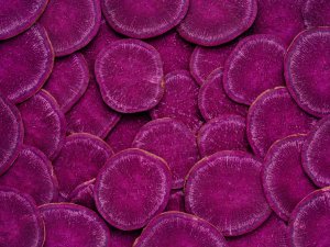 Beetroot stock 365