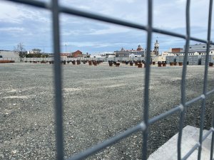 Dunedin Hospital Site 