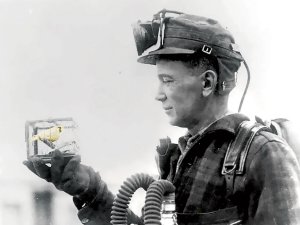 Canary in coalmine