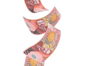 NZ 100 dollars column 