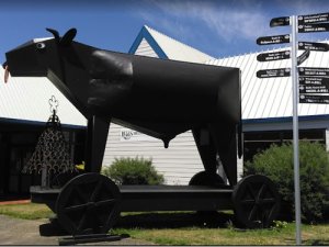 Bull Statue PMAANZ