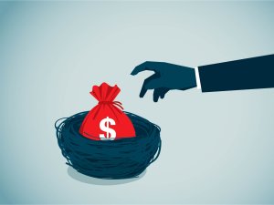Money bag in nest ready to grab and steal