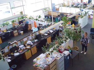 Beth Tester health hub Blenheim