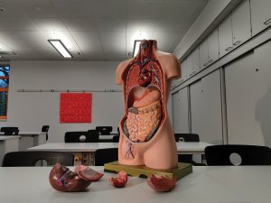 Medical school CR Kevoin Kandlbinder on Unsplash