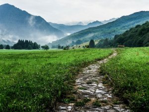 Rural scene path