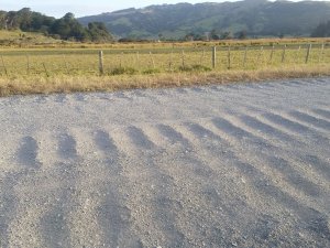 Dusty road