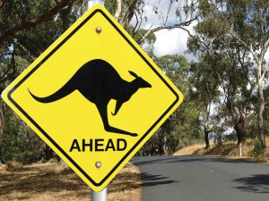 Kangaroo sign 