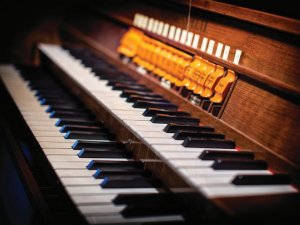 Organ keyboard