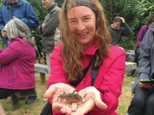 Barbara with weta