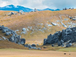 Bare land CR Sagittarius Voyage on Unsplash