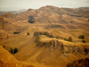 Hawke's Bay hills, Havelock North