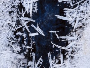 Icicles CR Mathias swede on iStock