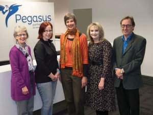 Pegasus nurse board