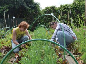 Tamaki Urban Market Garden farmers Britta Hamill (L) and Dani Spoeth (R) 