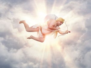 Cupid