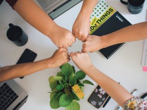 Young team memers CR Antonio Janeski on Unsplash