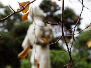 Autumn in the graveyard CR Virginia McMillan
