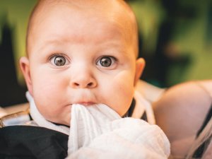 Baby CR Matt Walsh on Unsplash 