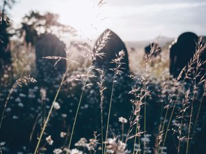Gravestone, death, dying