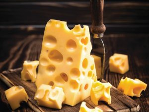 Cheese 