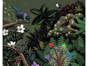 Forest, tui, healthcare homes cover art, Frazer