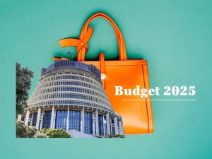 Beehive Budget 2025 CR Canva composite