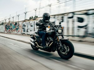Bike rider, motorbike, speed