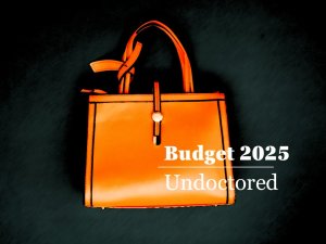 Draft Budget2025 Undoctored