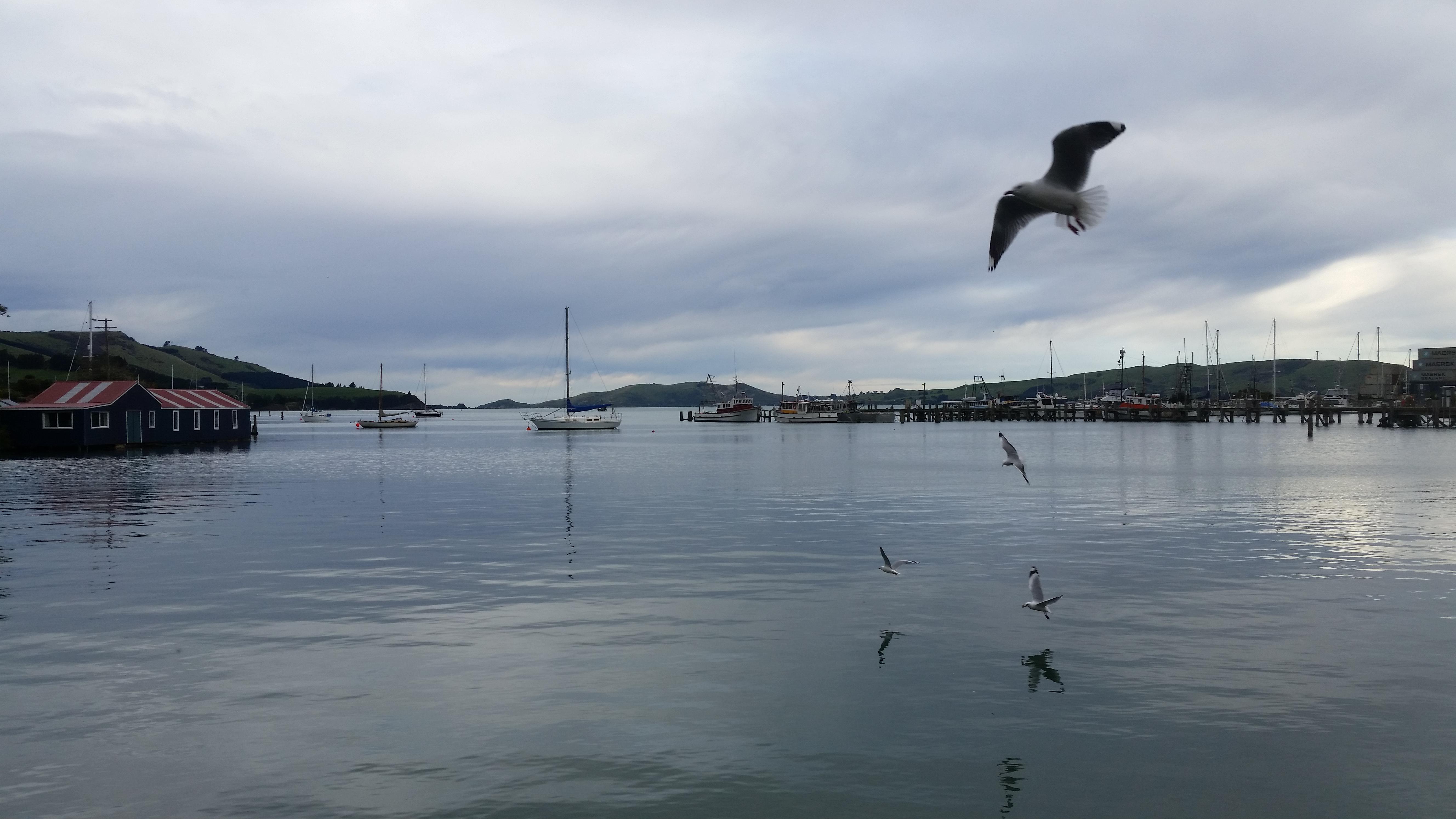 Carey's Bay