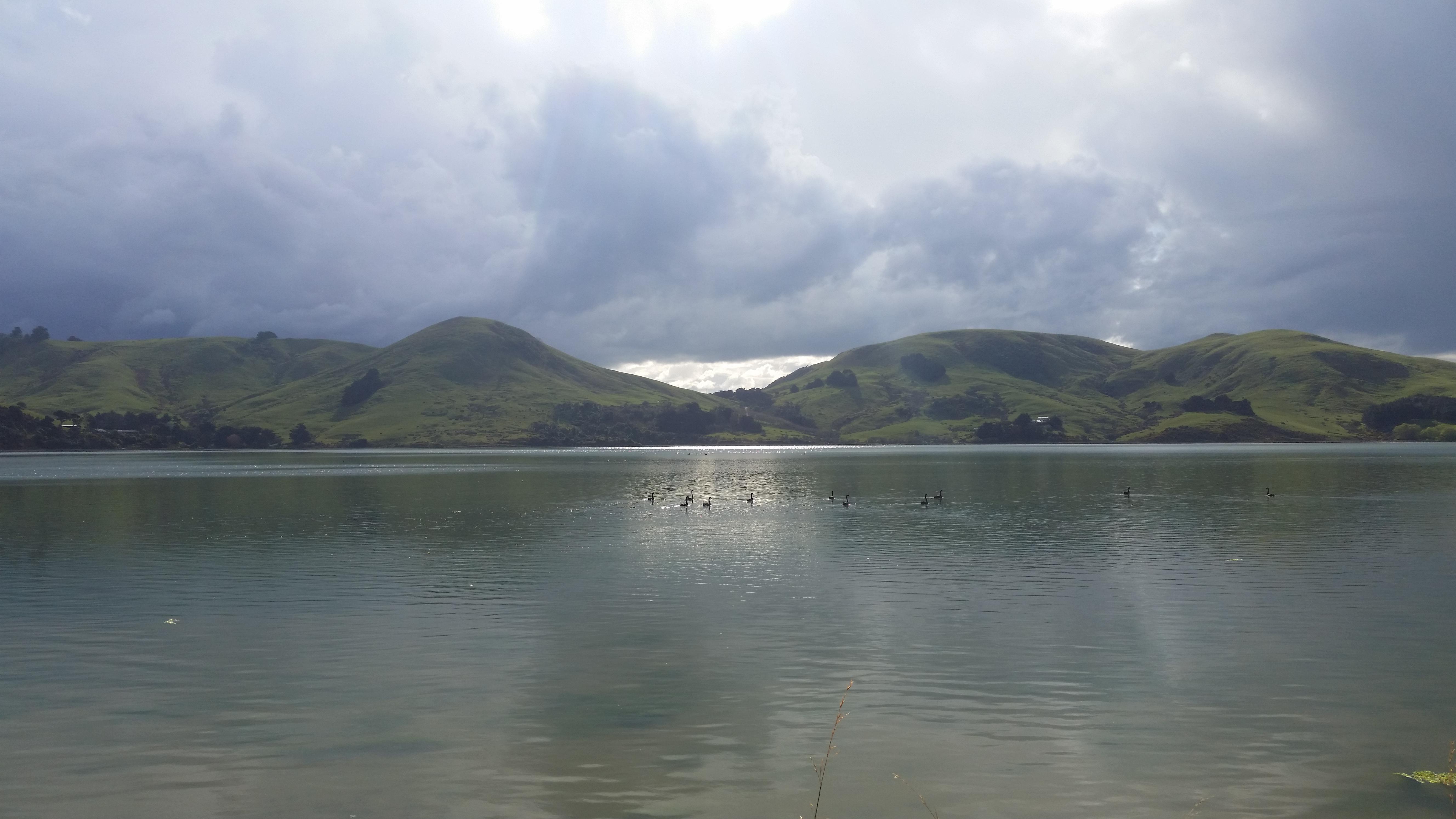 Papanui Inlet