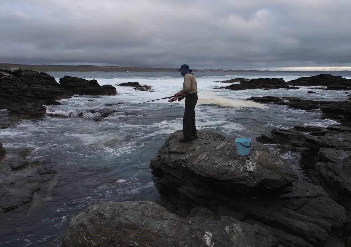 Fishing for blue cod